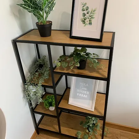 Panorama View Of Краков