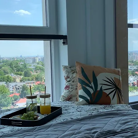 Panorama View Of Krakov