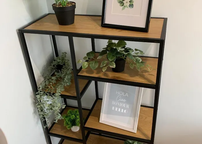 Panorama View Of Krakov